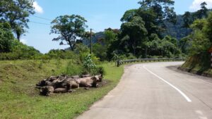 Travel the Ho Chi Minh Trail